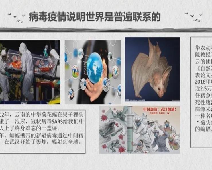 图片18.jpg